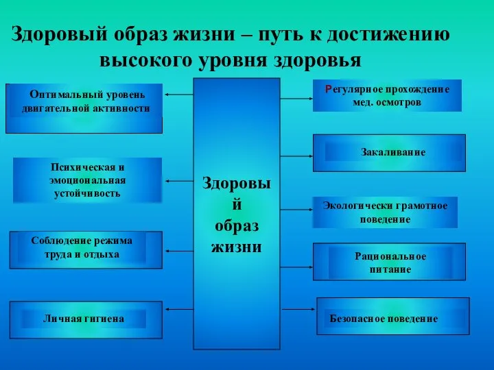 Здоровый образ жизни – путь к достижению высокого уровня здоровья Здоровый