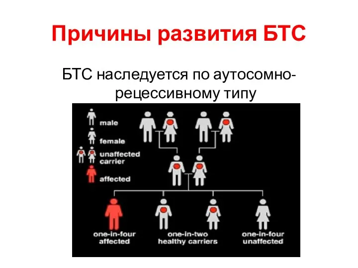 Причины развития БТС БТС наследуется по аутосомно-рецессивному типу