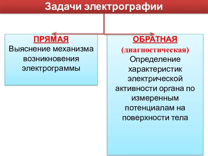 ОБРАТНАЯ (диагностическая) Определение характеристик электрической активности органа по измеренным потенциалам на