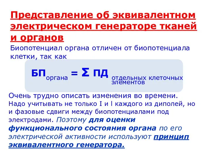 Представление об эквивалентном электрическом генераторе тканей и органов Биопотенциал органа отличен