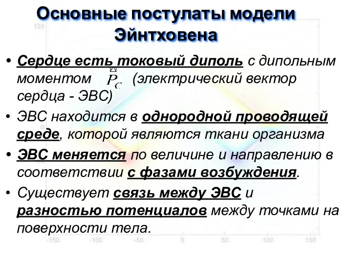 Основные постулаты модели Эйнтховена Сердце есть токовый диполь с дипольным моментом