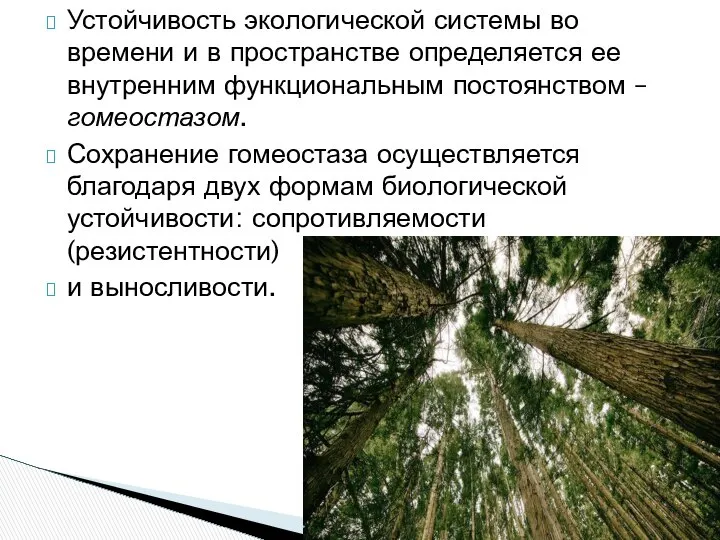 Устойчивость экологической системы во времени и в пространстве определяется ее внутренним