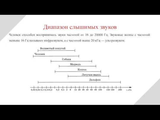 Человек способен воспринимать звуки частотой от 16 до 20000 Гц. Звуковые