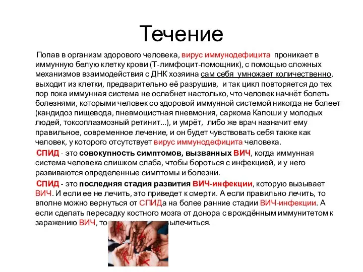 Течение Попав в организм здорового человека, вирус иммунодефицита проникает в иммунную