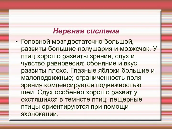 Нервная система Головной мозг достаточно большой, развиты большие полушария и мозжечок.