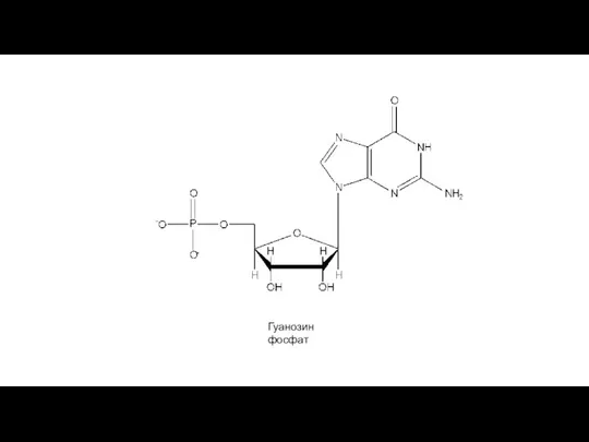 Гуанозин фосфат