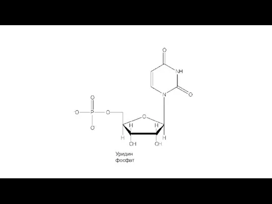 Уридин фосфат