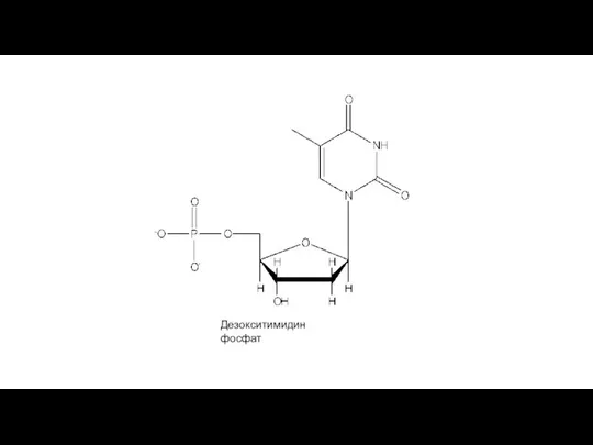 Дезокситимидин фосфат