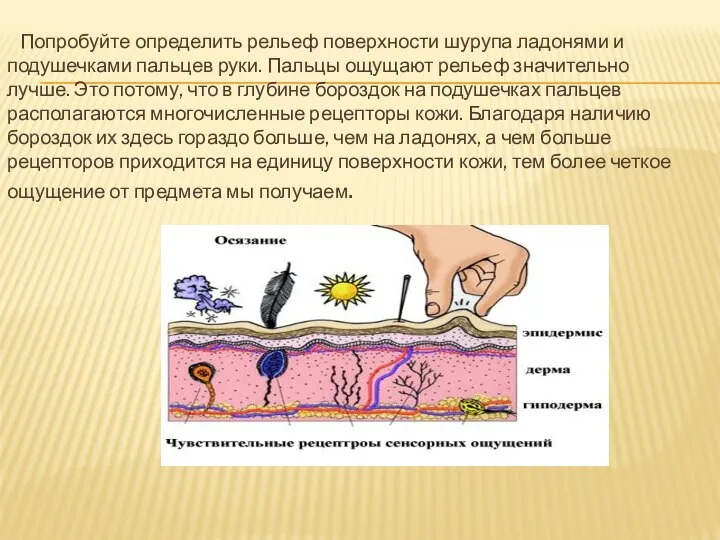 Попробуйте определить рельеф поверхности шурупа ладонями и подушечками пальцев руки. Пальцы