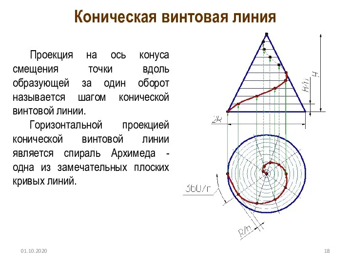 01.10.2020 Коническая винтовая линия Проекция на ось конуса смещения точки вдоль