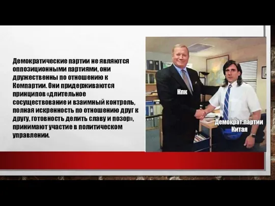 Демократические партии не являются оппозиционными партиями, они дружественны по отношению к