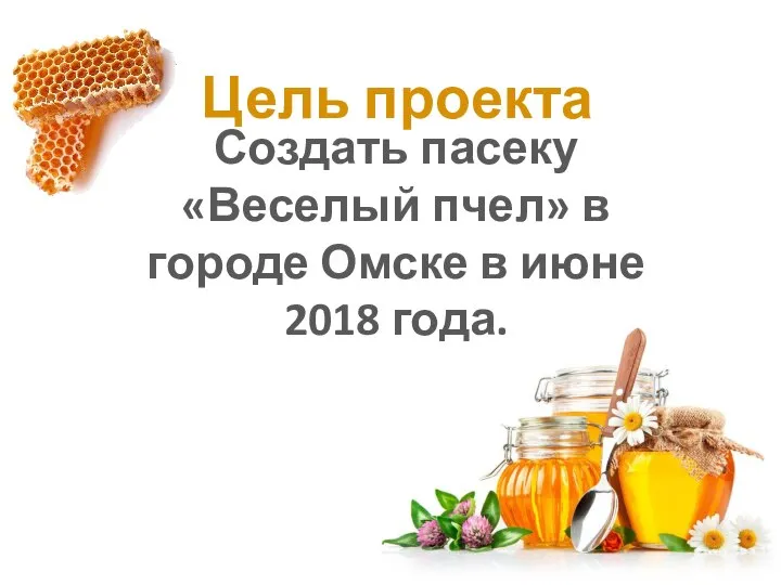 Цель проекта Создать пасеку «Веселый пчел» в городе Омске в июне 2018 года.