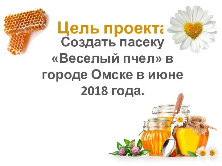 Цель проекта Создать пасеку «Веселый пчел» в городе Омске в июне 2018 года.