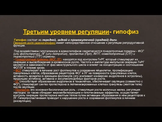 Третьим уровнем регуляции- гипофиз Гипофиз состоит из передней, задней и промежуточной