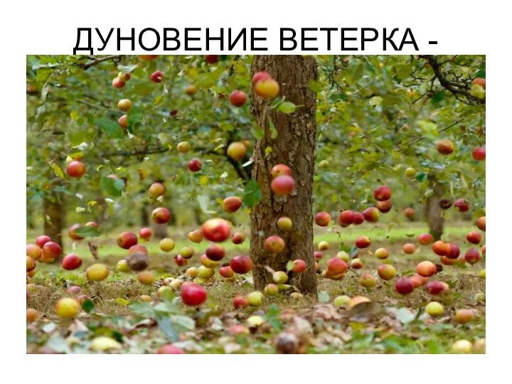 ДУНОВЕНИЕ ВЕТЕРКА -