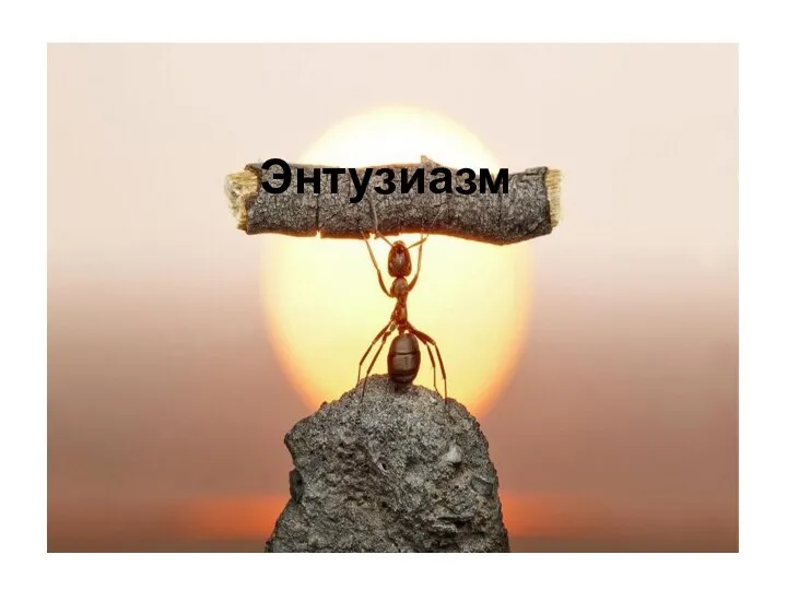 Энтузиазм Энтузиазм