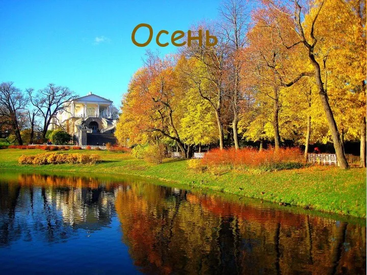 Осень