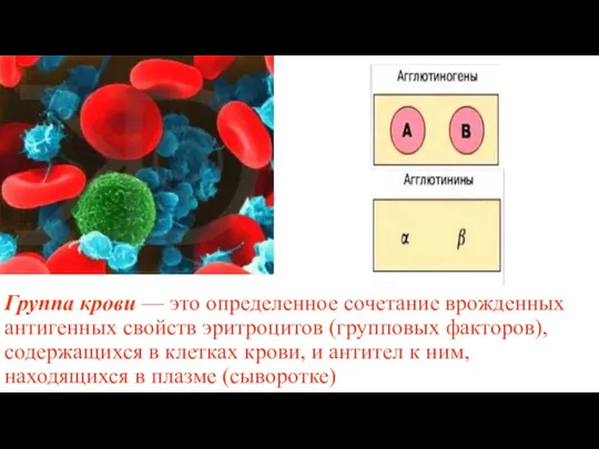 Группа крови — это определенное сочетание врожденных антигенных свойств эритроцитов (групповых