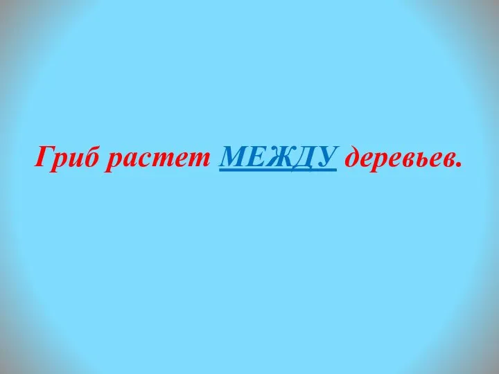 Гриб растет МЕЖДУ деревьев.