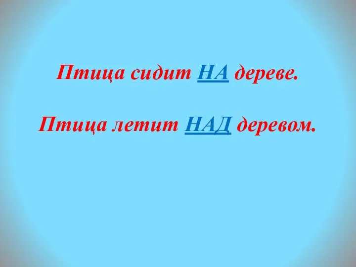 Птица сидит НА дереве. Птица летит НАД деревом.