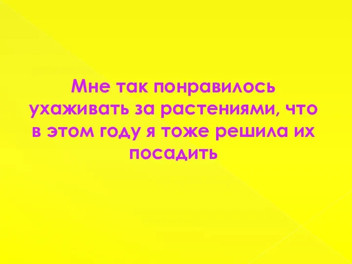 Мне так понравилось ухаживать за растениями, что в этом году я тоже решила их посадить