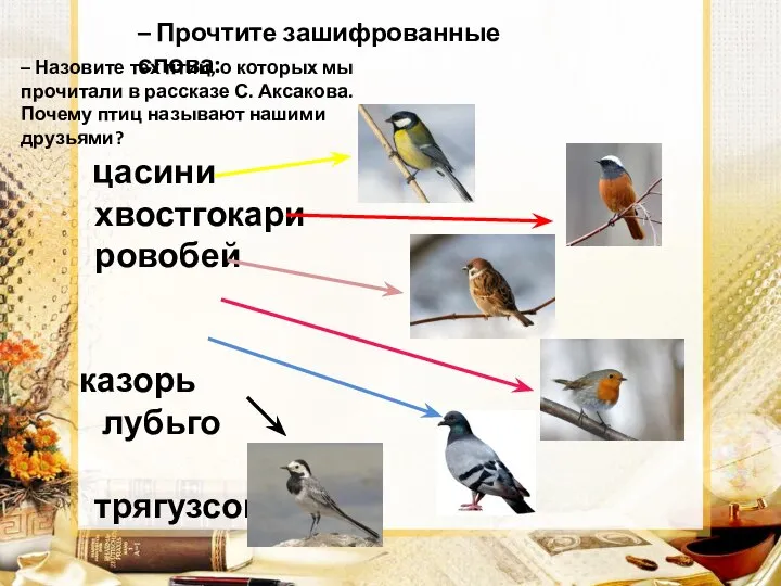 – Прочтите зашифрованные слова: цасини хвостгокари ровобей казорь лубьго трягузсока –