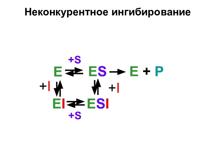 Неконкурентное ингибирование +S ESI +I E +S ES E + P +I EI