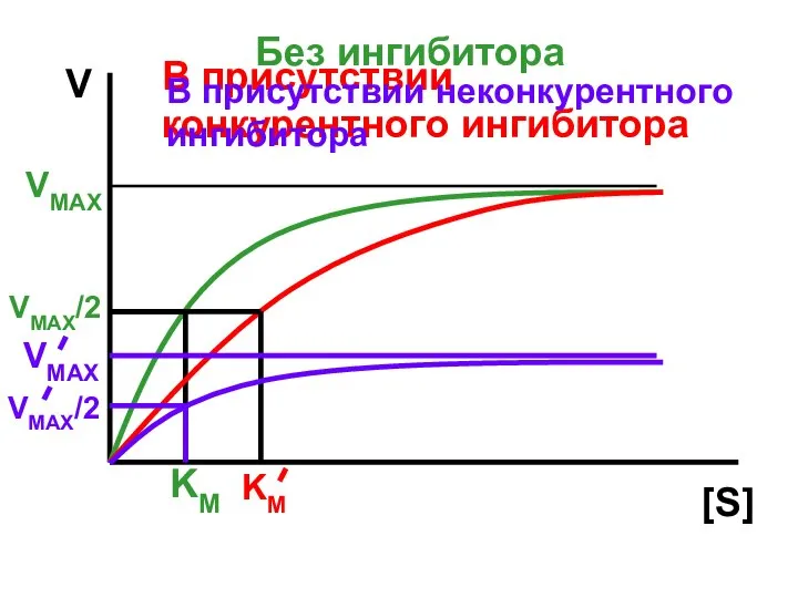 V [S] Без ингибитора VMAX В присутствии конкурентного ингибитора VMAX/2 KM