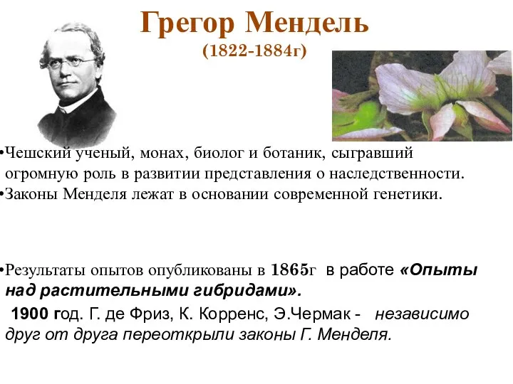 Грегор Мендель (1822-1884г) Чешский ученый, монах, биолог и ботаник, сыгравший огромную