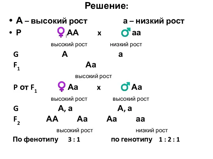 Решение: А – высокий рост а – низкий рост Р ♀АА