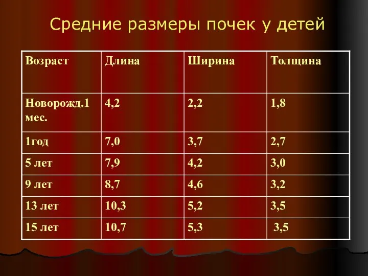 Средние размеры почек у детей