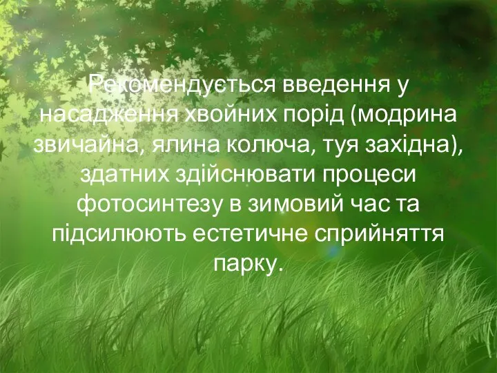 Рекомендується введення у насадження хвойних порід (модрина звичайна, ялина колюча, туя