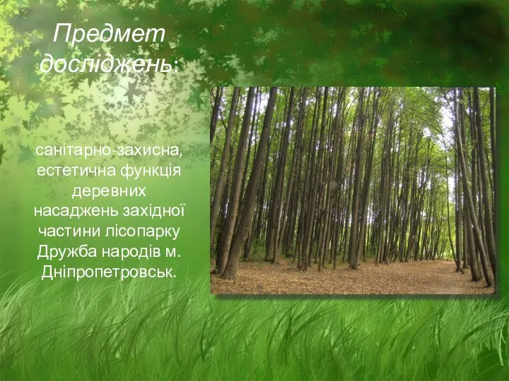 Предмет досліджень: санітарно-захисна, естетична функція деревних насаджень західної частини лісопарку Дружба народів м. Дніпропетровськ.