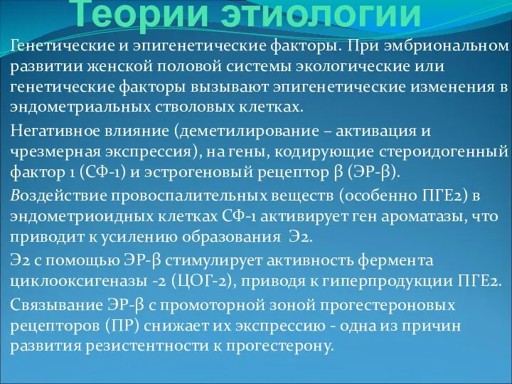 Теории этиологии Генетические и эпигенетические факторы. При эмбриональном развитии женской половой