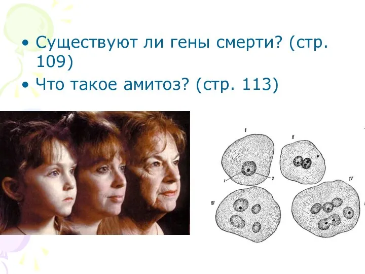 Существуют ли гены смерти? (стр. 109) Что такое амитоз? (стр. 113)