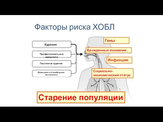 Гены Инфекции Социально-экономический статус Старение популяции Факторы риска ХОБЛ Врожденные аномалии