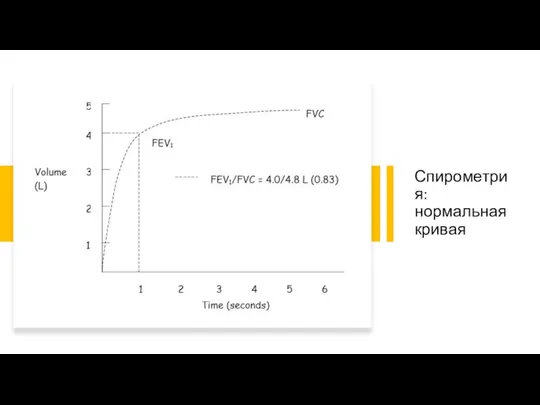 Спирометрия: нормальная кривая