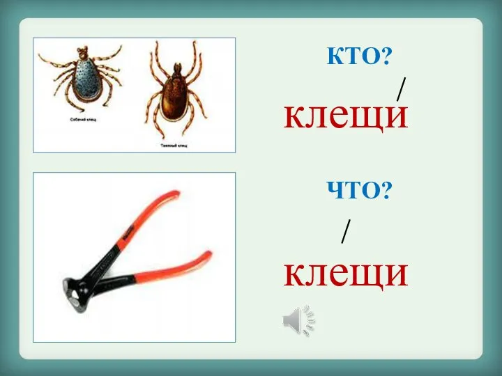 клещи клещи КТО? ЧТО?