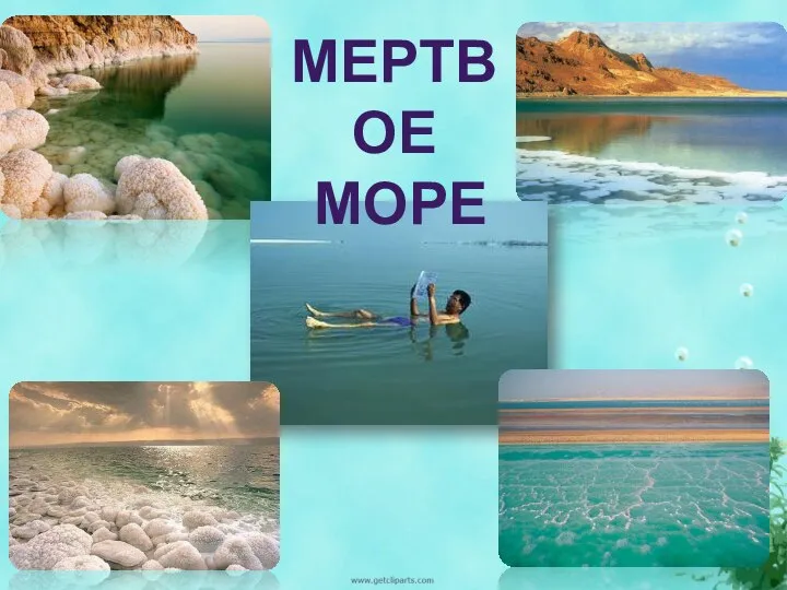 МЕРТВОЕ МОРЕ