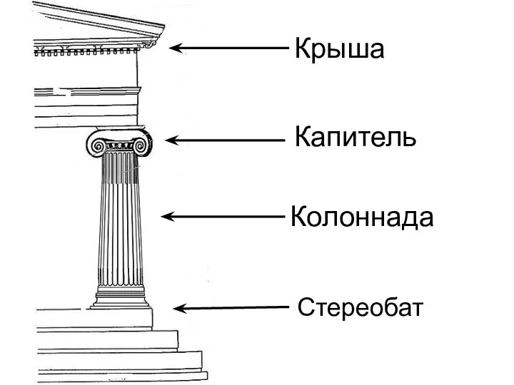 Колоннада Крыша Стереобат Капитель