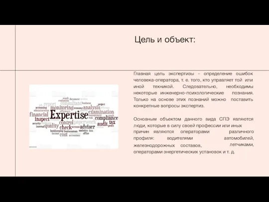 Цель и объект: Главная цель экспертизы - определение ошибок человека-оператора, т.