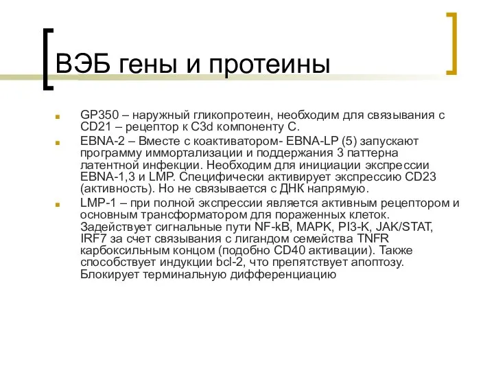 ВЭБ гены и протеины GP350 – наружный гликопротеин, необходим для связывания