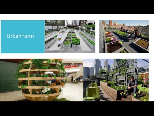 UrbanFarm