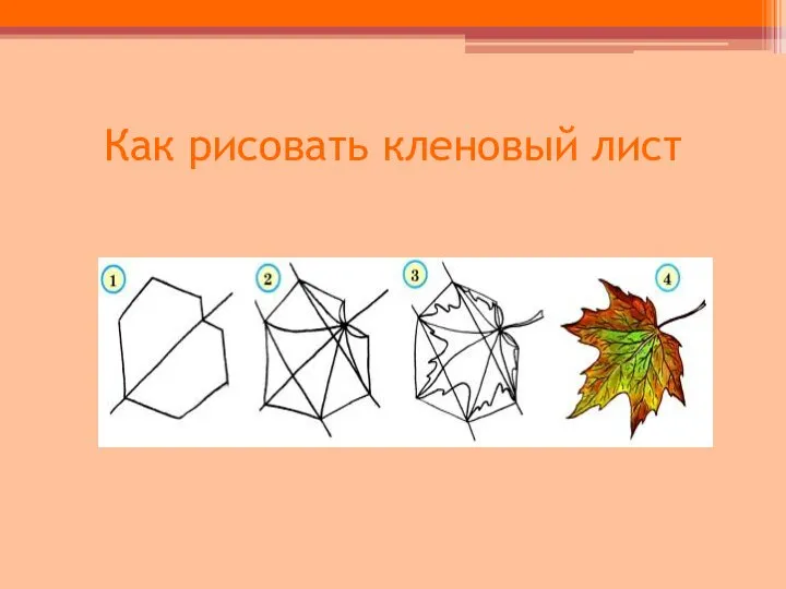 Как рисовать кленовый лист