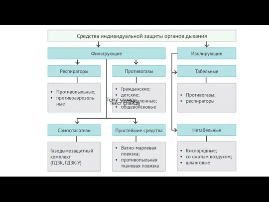 Текст слайда Текст слайда