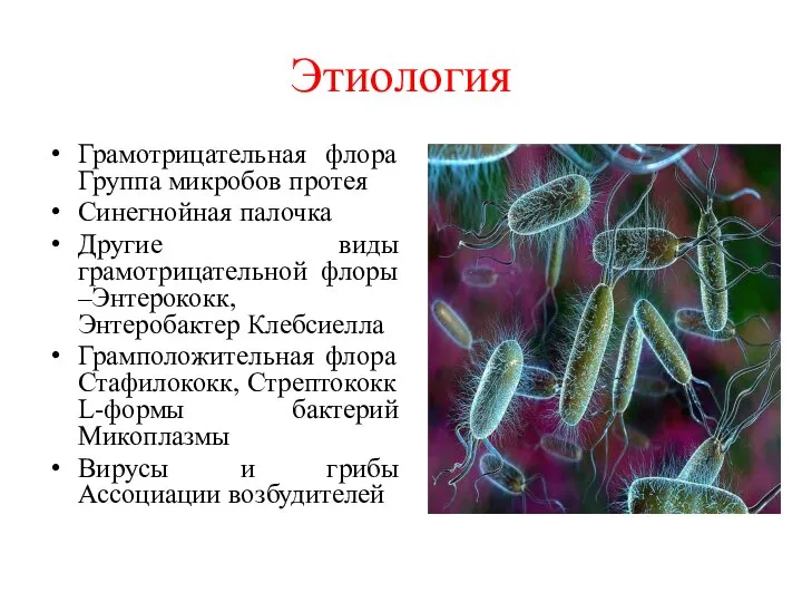 Этиология Грамотрицательная флора Группа микробов протея Синегнойная палочка Другие виды грамотрицательной