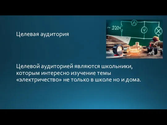 Целевой аудиторией являются школьники, которым интересно изучение темы «электричество» не только