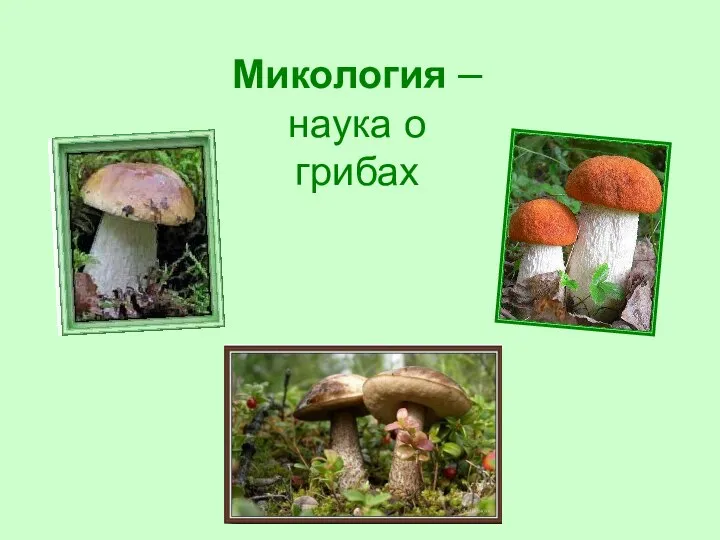 Микология – наука о грибах