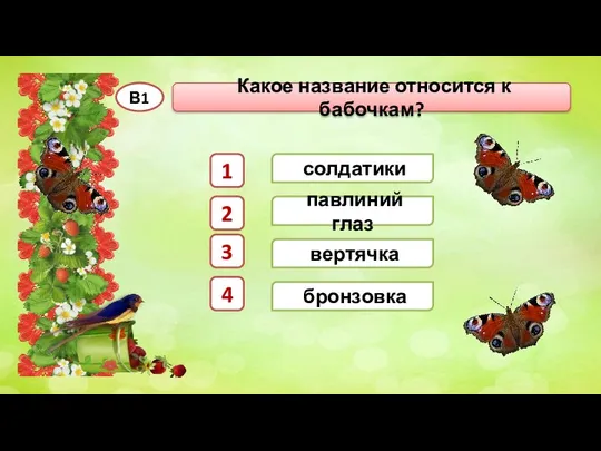 павлиний глаз Какое название относится к бабочкам? В1 солдатики бронзовка вертячка 1 2 3 4