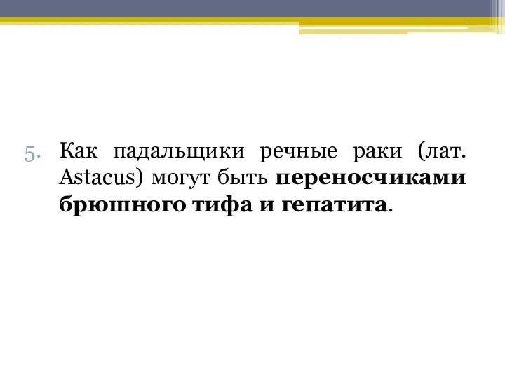 Как падальщики речные раки (лат. Astacus) могут быть переносчиками брюшного тифа и гепатита.